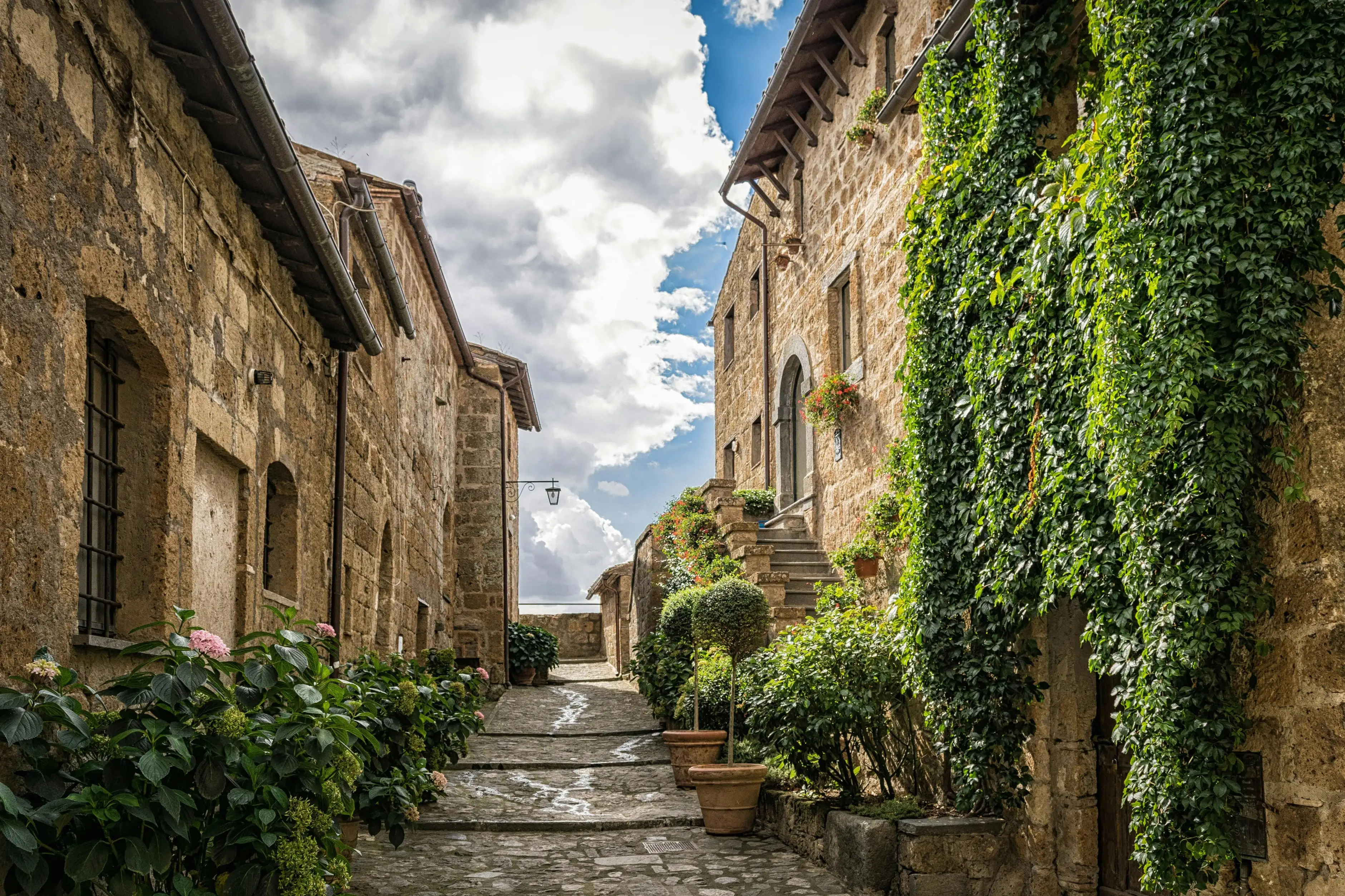 Une ruelle pavée entre deux maisons de pierre, une façade couverte de lierre, des hortensias et des plantes en pot.